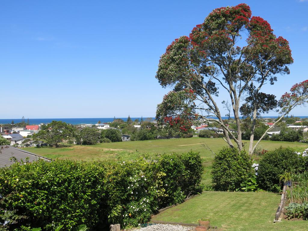 Atalaya Waihi Quarto foto